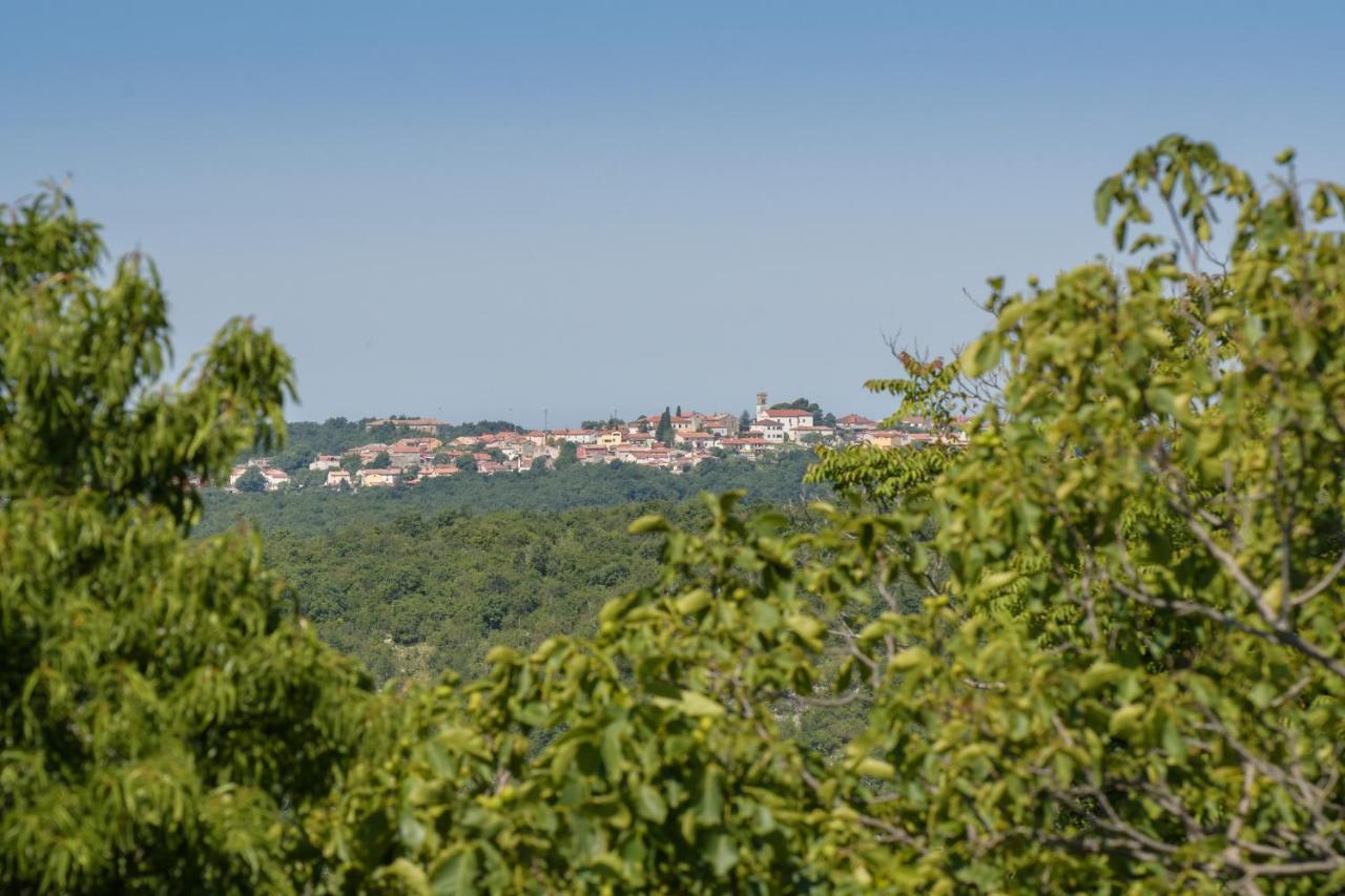 Villa C'Est La Vie Buje Exterior foto